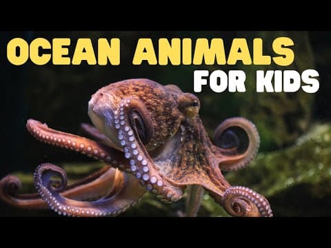 Ocean Animals for Kids