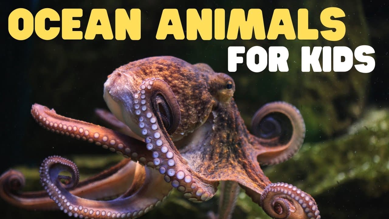 Ocean Animals for Kids