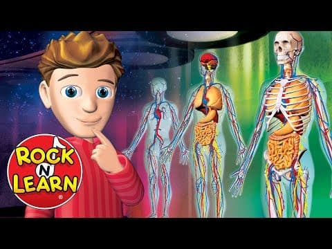 Human Body - Science for Kids